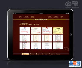 精湛的技術，優秀的服務 深圳軟件開發公司的卓越之道